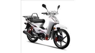 DAYTONA DY 125 BUSSINESS BIKE ΜΟΤΟΣΙΚΛΕΤΕΣ