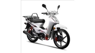 DAYTONA DY 125 BUSSINESS BIKE