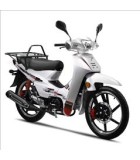 DAYTONA DY 125 BUSSINESS BIKE ΜΟΤΟΣΙΚΛΕΤΕΣ DAYTONA DY 125 BUSSINESS BIKE