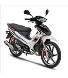 DAYTONA SPRINTER 50
