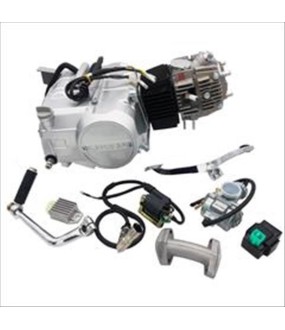 ΚΙΝΗΤΗΡΑΣ LIFAN 110cc χωρις μιζα