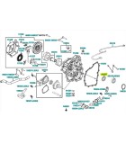 ΤΣΙΜΟΥΧΑ KYMCO MXU 500/550 ΑΝΤΑΛΛΑΚΤΙΚΑ ΤΣΙΜΟΥΧΑ KYMCO MXU 500/550