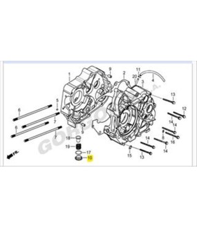 ΤΑΠΑ ΛΑΔΙΟΥ ΚΑΤΩ DAYTONA CARGO