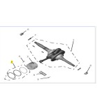 ΕΛΑΤΗΡΙΑ ΠΙΣΤΟΝΙΟΥ STD (ΣΕΤ) SPARE PARTS ΕΛΑΤΗΡΙΑ ΠΙΣΤΟΝΙΟΥ STD (ΣΕΤ) DAYTONA CARGO 125