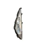 ΦΛΑΣ ΕΜΠΡΟΣΘΙΟ ΔΕΞΙΟ ΠΛΗΡΕΣ DAYTONA CARGO 125 ΑΝΤΑΛΛΑΚΤΙΚΑ ΦΛΑΣ ΕΜΠΡΟΣΘΙΟ ΔΕΞΙΟ ΠΛΗΡΕΣ DAYTONA CARGO 125