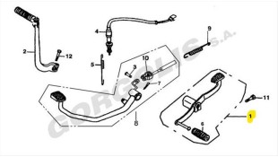 ΛΕΒΙΕΣ ΤΑΧΥΤΗΤΩΝ ΠΛΗΡΗΣ DAYTONA/DAYANG