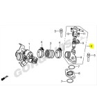ΛΑΙΜΟΣ ΣΩΜΑΤΟΣ ΨΕΚΑΣΜΟΥ ΠΛΗΡΗΣ DAYTONA DY/SPRINTER ΑΝΤΑΛΛΑΚΤΙΚΑ ΛΑΙΜΟΣ ΣΩΜΑΤΟΣ ΨΕΚΑΣΜΟΥ ΠΛΗΡΗΣ DAYTONA DY/SPRINTER