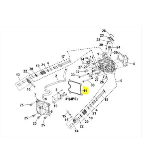 ΦΛΑΝΤΖΑ ΚΑΠΑΚΙΟΥ ΚΕΦΑΛΗΣ