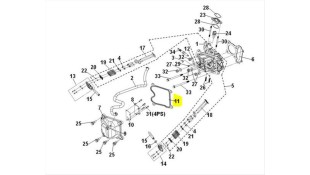 ΦΛΑΝΤΖΑ ΚΑΠΑΚΙΟΥ ΚΕΦΑΛΗΣ