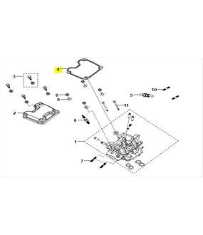 ΦΛΑΝΤΖΑ ΚΑΠΑΚΙΟΥ ΚΕΦΑΛΗΣ SYM NH T/VF