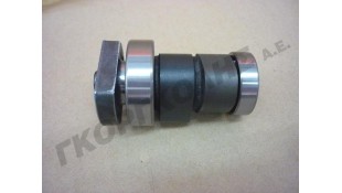 ΕΚΚΕΝΤΡΟΦΟΡΟΣ ΠΛΗΡΗΣ SYM QUADLANDER 300