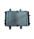 ΨΥΓΕΙΟ ΣΚΕΤΟ SYM GTS 250/300