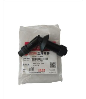 ΜΠΟΥΖΟΠΙΠΑ SYM 30700-T7A-A00 ΗΛΕΚΤΡΙΚΑ ΜΠΟΥΖΟΠΙΠΑ SYM 30700-T7A-A00