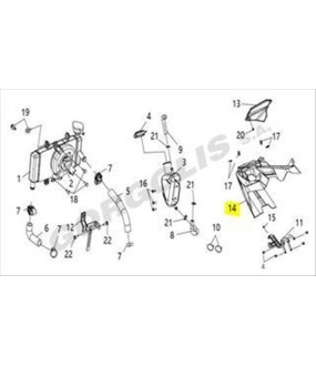 ΚΑΡΙΝΑ SYM VF 185