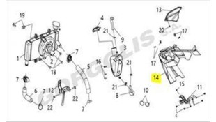 ΚΑΡΙΝΑ SYM VF 185