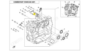 ΑΙΣΘΗΤΗΡΑΣ ΤΑΧΥΤΗΤΩΝ CFMOTO CFORCE