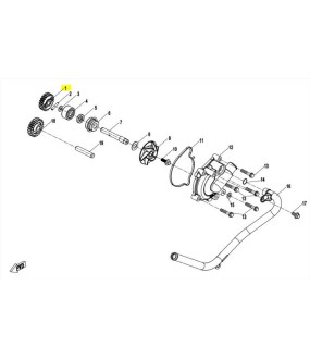 GEAR, WATER PUMP CFMOTO CFORCE/UFORCE/ZFORCE 850/1000