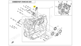 ΑΙΣΘΗΤΗΡΑΣ ΠΙΕΣΗΣ ΛΑΔΙΟΥ CFMOTO CFORCE ΗΛΕΚΤΡΙΚΑ