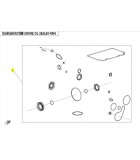 ΤΣΙΜΟΥΧΕΣ ΦΛΑΝΖΕΣ ΣΕΤ CFMOTO ΑΝΤΑΛΛΑΚΤΙΚΑ ΤΣΙΜΟΥΧΕΣ ΦΛΑΝΖΕΣ ΣΕΤ CFMOTO CFORCE