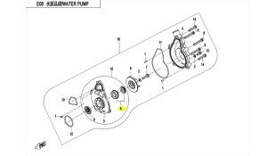 ΤΣΙΜΟΥΧΑ ΑΝΤΛΙΑΣ ΝΕΡΟΥ (ΚΑΡΒΟΥΝΟ) CFMOTO