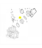 ΚΟΛΑΡΟ ΕΙΣΑΓΩΓΗΣ ΚΑΡΜΠΥΛΑΤΕΡ PIAGGIO BEVERLY 350i ΑΝΤΑΛΛΑΚΤΙΚΑ ΚΟΛΑΡΟ ΕΙΣΑΓΩΓΗΣ ΚΑΡΜΠΥΛΑΤΕΡ PIAGGIO BEVERLY 350i