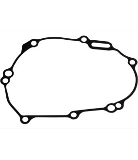 ΦΛΑΝΤΖΑ ΒΟΛΑΝ YAMAHA YZF 450 '18-'19