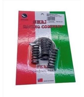 ΕΛΑΤΗΡΙΑ ΣΥΜΠΛΕΚΤΗ SHARK RACING SYM VF 185