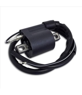 ΠΟΛΛΑΠΛΑΣΙΑΣΤΗΣ YAMAHA CRYPTON R 115 ΗΛΕΚΤΡΙΚΑ ΠΟΛΛΑΠΛΑΣΙΑΣΤΗΣ YAMAHA CRYPTON R 115