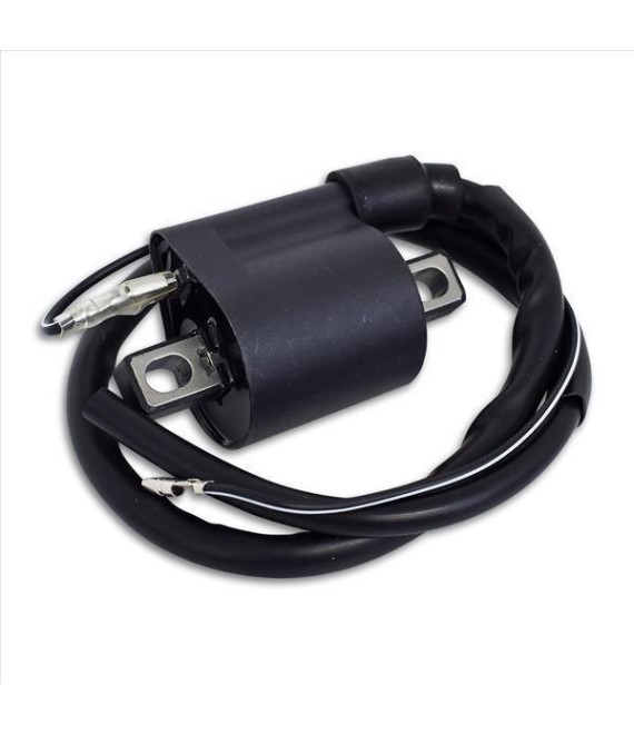 ΠΟΛΛΑΠΛΑΣΙΑΣΤΗΣ YAMAHA CRYPTON R 115 ΗΛΕΚΤΡΙΚΑ ΠΟΛΛΑΠΛΑΣΙΑΣΤΗΣ YAMAHA CRYPTON R 115