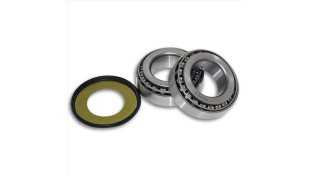 ΡΟΥΛΕΜΑΝ ΤΙΜΟΝΙΟΥ ΣΕΤ KOYO DL 650/1000 - TDM900 ΡΟΥΛΕΜΑΝ ΤΙΜΟΝΙΟΥ ΣΕΤ KOYO DL 650/1000 - TDM900