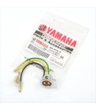 ΝΤΟΥΙ ΦΩΤΩΝ YAMAHA CRYPTON R 105