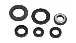 ΤΣΙΜΟΥΧΕΣ ΚΙΝΗΤΗΡΑ ΣΕΤ YAMAHA XT 600 '95-'02