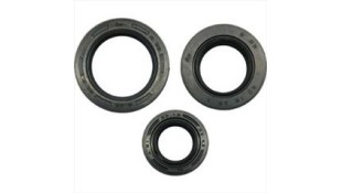 ΤΣΙΜΟΥΧΕΣ ΚΙΝΗΤΗΡΑ ΣΕΤ KAWASAKI KAZE R 115