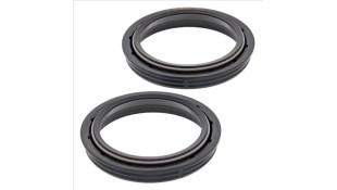 ΞΥΣΤΡΕΣ ΠΙΡΟΥΝΙΟΥ ALLBALLS 48Χ58Χ8.5