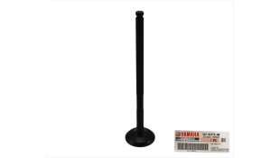 ΒΑΛΒΙΔΑ ΕΙΣΑΓΩΓΗΣ YAMAHA CRYPTON X 135