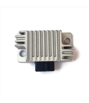 ΑΝΟΡΘΩΤΗΣ YAMAHA TOWNMATE T50/T80 6V