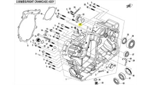 ORING 24x2.5 CFMOTO ΑΝΤΑΛΛΑΚΤΙΚΑ