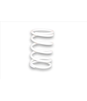 ΕΛΑΤΗΡΙΟ ΟΠΙΣΘΙΑΣ ΤΡΟΧΑΛΙΑΣ MALOSSI APRILIA/BETA/PGO/SUZUKI/YAMAHA SPARE PARTS ΕΛΑΤΗΡΙΟ ΟΠΙΣΘΙΑΣ ΤΡΟΧΑΛΙΑΣ MALOSSI APRILIA/BETA/PGO/SUZUKI/YAMAHA SPARE PARTS