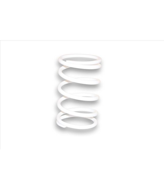 ΕΛΑΤΗΡΙΟ ΟΠΙΣΘΙΑΣ ΤΡΟΧΑΛΙΑΣ MALOSSI APRILIA/BETA/PGO/SUZUKI/YAMAHA ΑΝΤΑΛΛΑΚΤΙΚΑ ΕΛΑΤΗΡΙΟ ΟΠΙΣΘΙΑΣ ΤΡΟΧΑΛΙΑΣ MALOSSI APRILIA/BETA/PGO/SUZUKI/YAMAHA ΑΝΤΑΛΛΑΚΤΙΚΑ