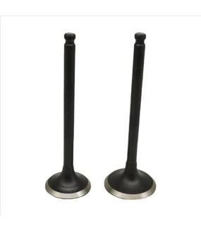 ΒΑΛΒΙΔΕΣ ΕΙΣΑΓΩΓΗΣ/ΕΞΑΓΩΓΗΣ ΣΕΤ 24/28 YAMAHA CRYPTON 105/110/115