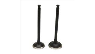 ΒΑΛΒΙΔΕΣ ΕΙΣΑΓΩΓΗΣ/ΕΞΑΓΩΓΗΣ ΣΕΤ 24/28 YAMAHA CRYPTON 105/110/115