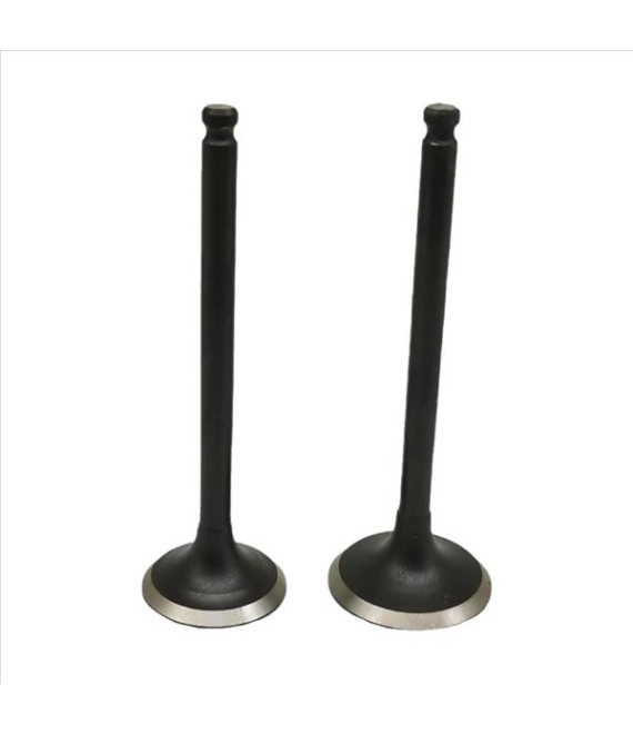 ΒΑΛΒΙΔΕΣ ΕΙΣΑΓΩΓΗΣ/ΕΞΑΓΩΓΗΣ ΣΕΤ 24/28 YAMAHA CRYPTON 105/110/115 ΑΝΤΑΛΛΑΚΤΙΚΑ ΒΑΛΒΙΔΕΣ ΕΙΣΑΓΩΓΗΣ/ΕΞΑΓΩΓΗΣ ΣΕΤ 24/28 YAMAHA CRYPTON 105/110/115