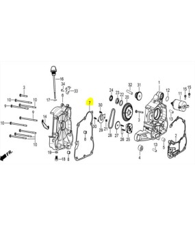 ΦΛΑΝΤΖΑ ΔΕΞΙΟΥ ΚΑΠΑΚΙΟΥ DAYTONA CARGO 125i ECO