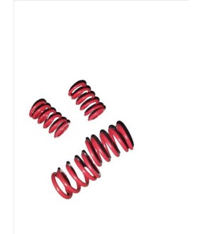 ΕΛΑΤΗΡΙΑ ΒΑΛΒΙΔΩΝ ΣΕΤ YAMAHA CRYPTON 105/110/115