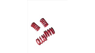 ΕΛΑΤΗΡΙΑ ΒΑΛΒΙΔΩΝ ΣΕΤ YAMAHA CRYPTON 105/110/115