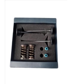 ΒΑΛΒΙΔΕΣ ΕΞΑΓΩΓΗΣ ΣΕΤ MOOSE RACING YAMAHA YZ50F '01-'13