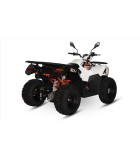 DAYTONA KAYO 300 ΜΟΤΟΣΙΚΛΕΤΕΣ DAYTONA KAYO 300