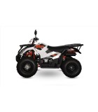 DAYTONA KAYO 300 ΜΟΤΟΣΙΚΛΕΤΕΣ DAYTONA KAYO 300
