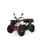 DAYTONA KAYO 300 ΜΟΤΟΣΙΚΛΕΤΕΣ DAYTONA KAYO 300