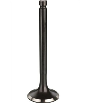 ΒΑΛΒΙΔΑ ΕΞΑΓΩΓΗΣ JAPAN YAMAHA XT 600 '85-'89